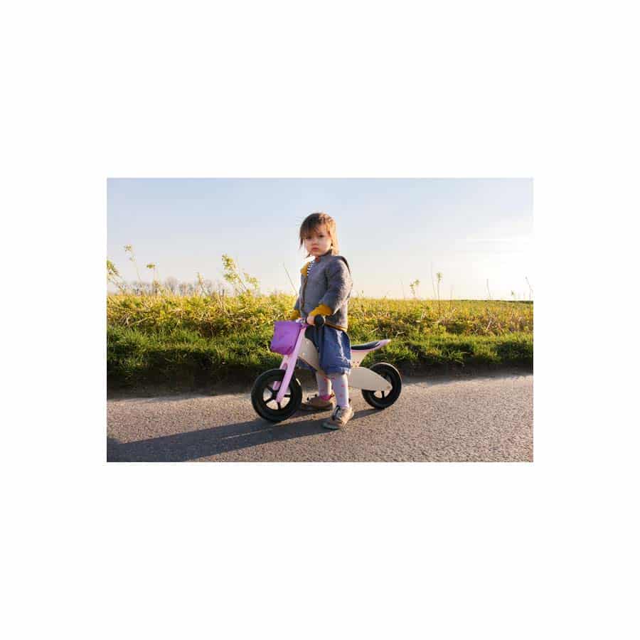 11611 Laufrad-Trike Maxi 2 in 1 Rosa, Small Food 11611