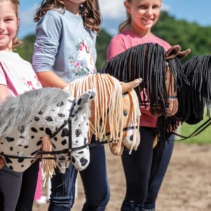 Hobby Horse Auswahl