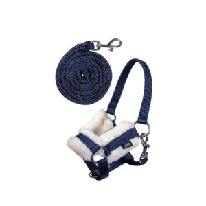 Halfter und Strick -Hobby Horsing-